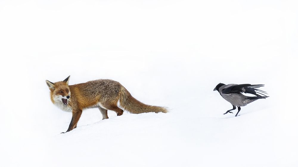 Photograph by Petya Petkova