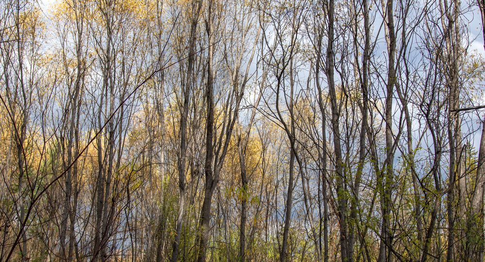 Photograph by Олег Маменко