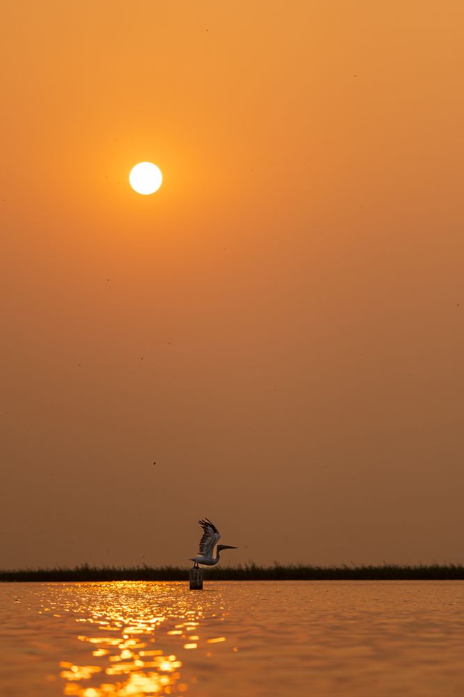 Фотография автора Prashant Parate