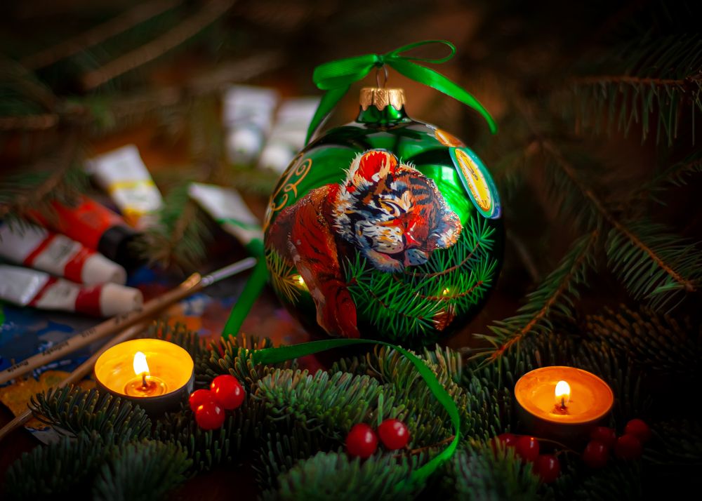 Фотография автора Анна Власенко