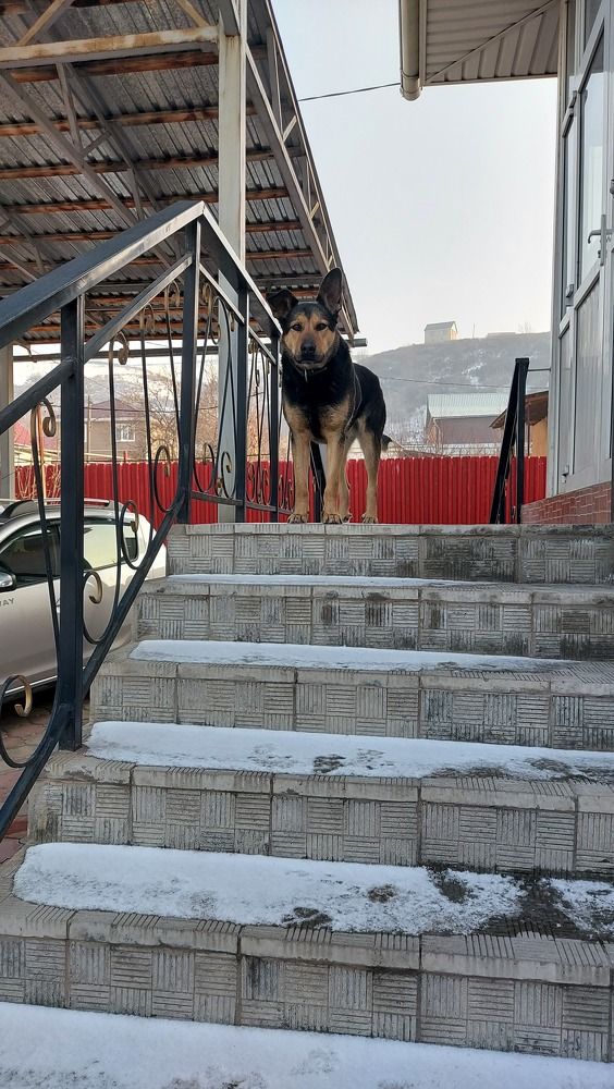 Photograph by Евгений Бутылев