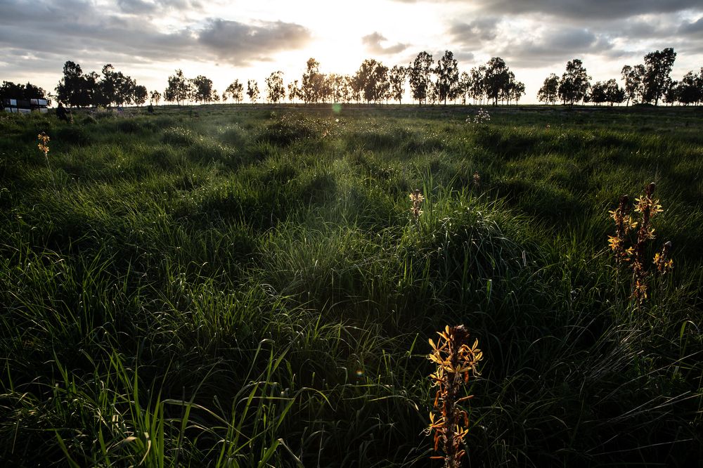 Photograph by marianna chechik