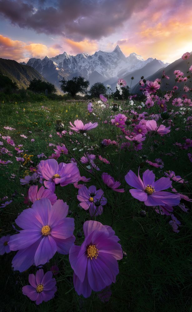 Photograph by He Jinyi