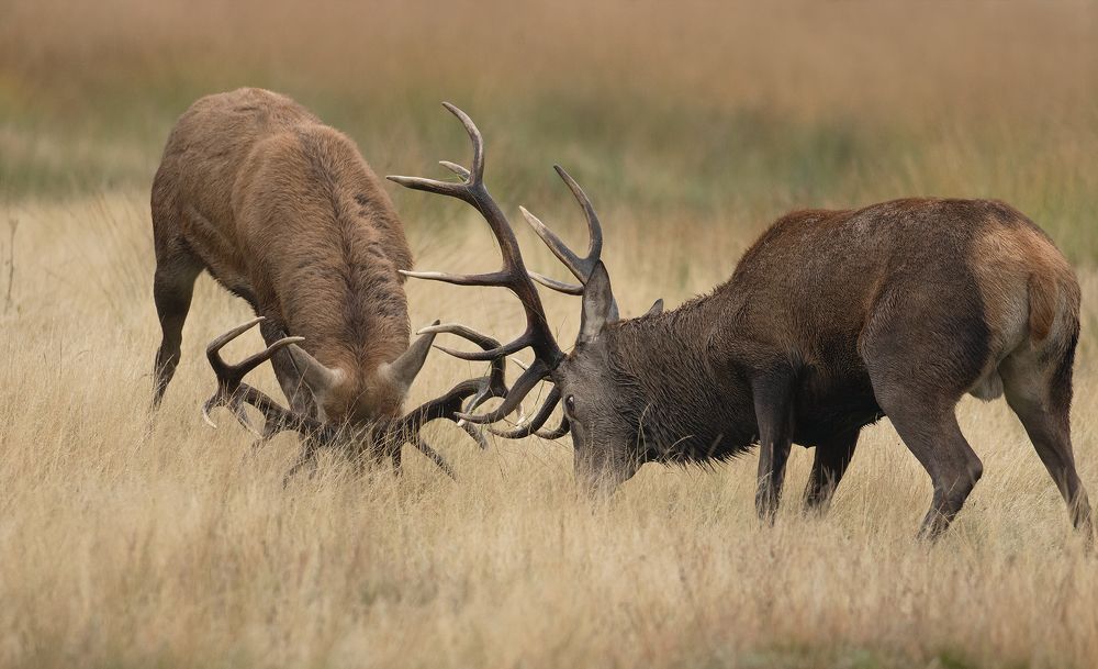 Фотография автора MARIA KULA