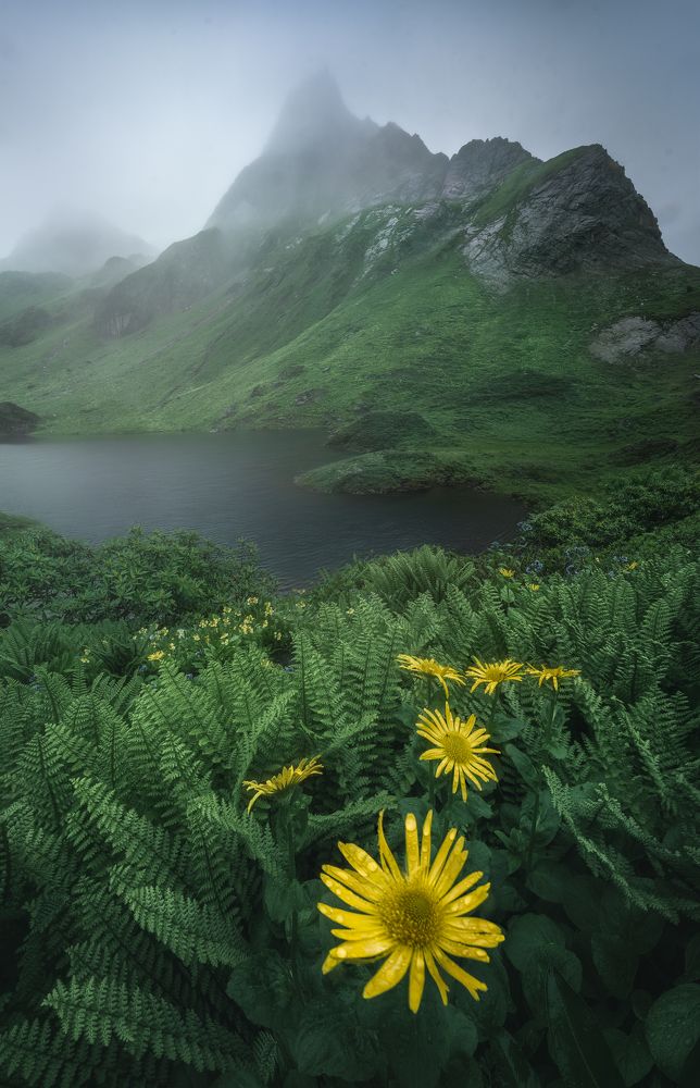 Photograph by He Jinyi