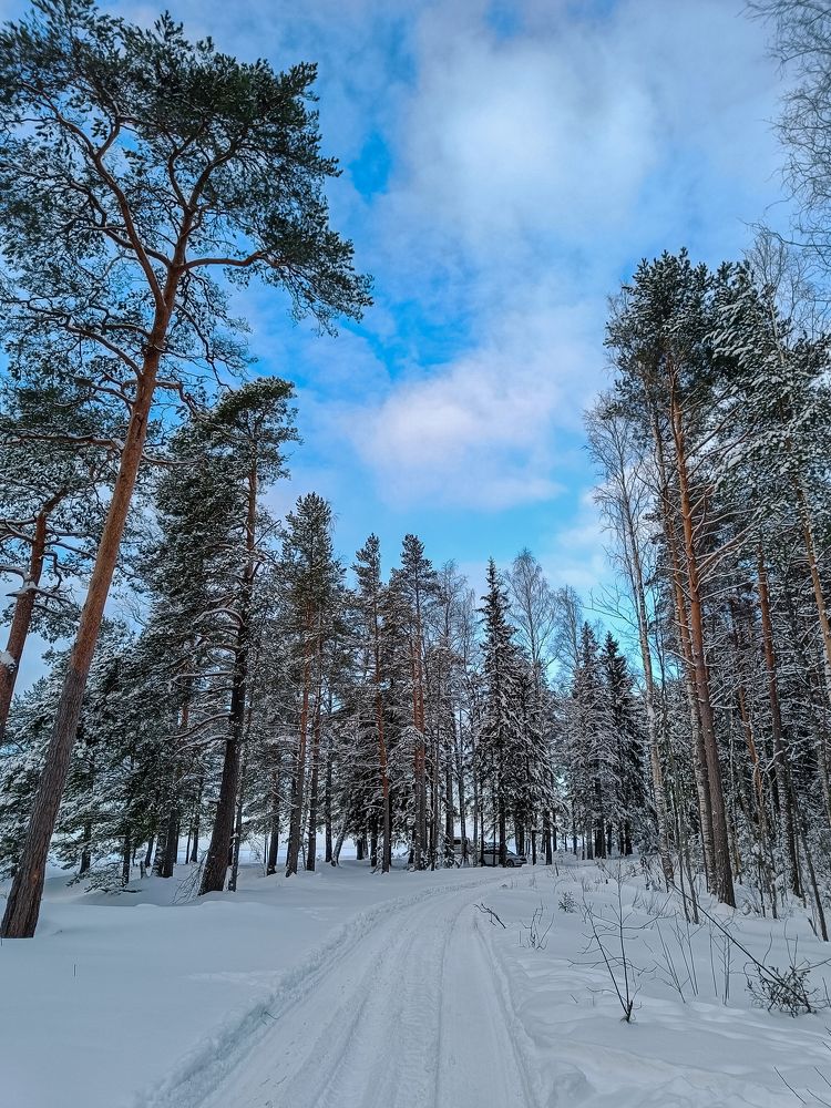 Кандикюля