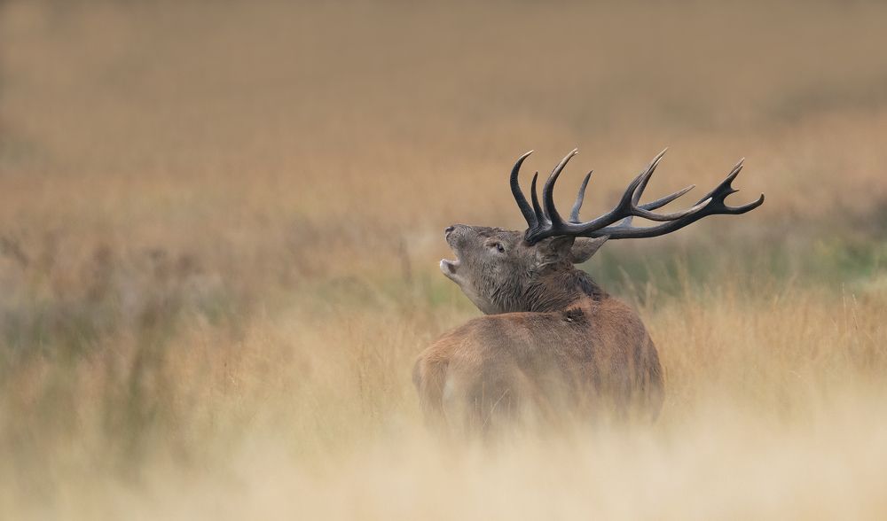 Фотография автора MARIA KULA