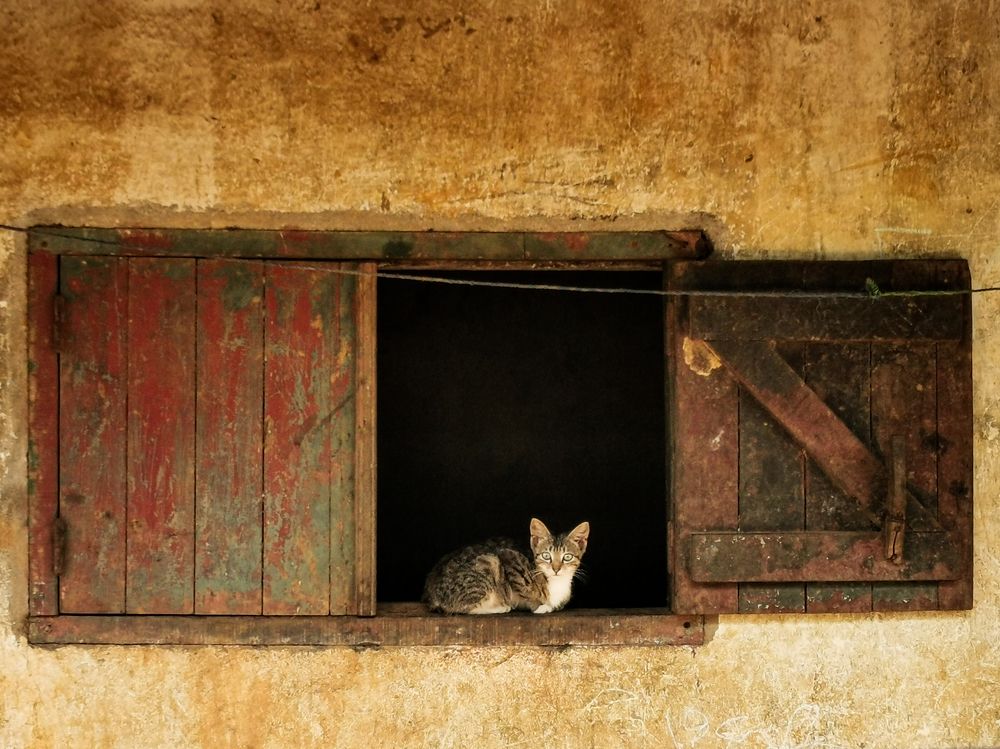 Photograph by Ismail Hassanaly