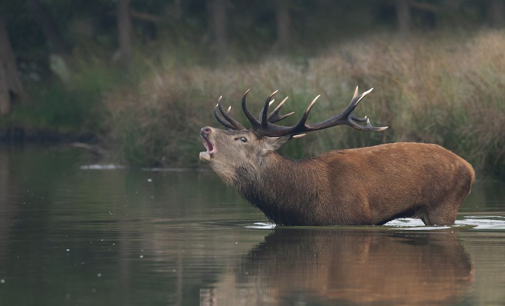 Фотография автора MARIA KULA