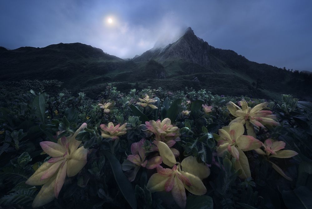 Photograph by He Jinyi