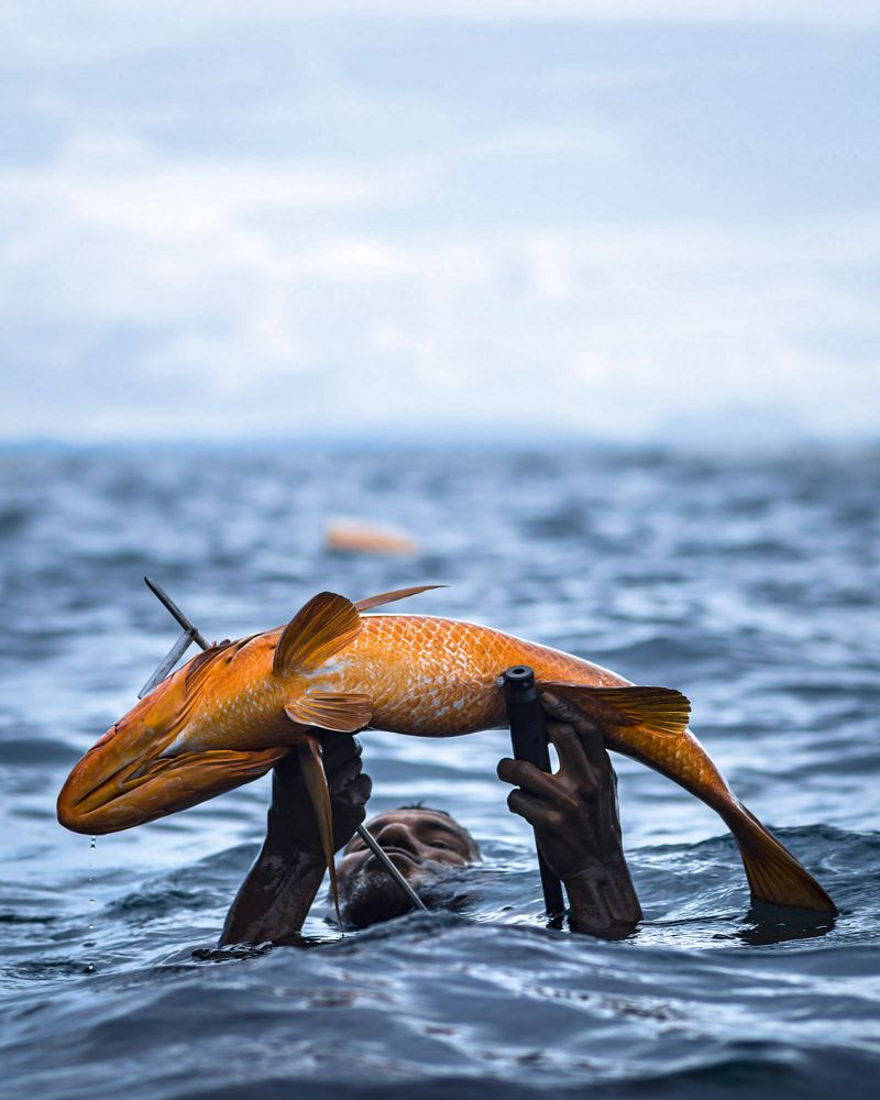 Absalon and the fish