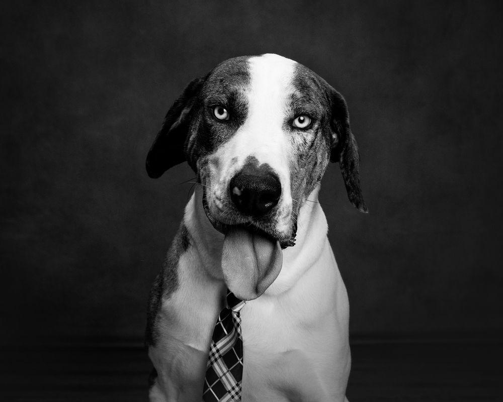 Photograph by Angie Perisse