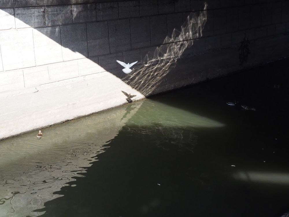 Photograph by Людмила Синицына