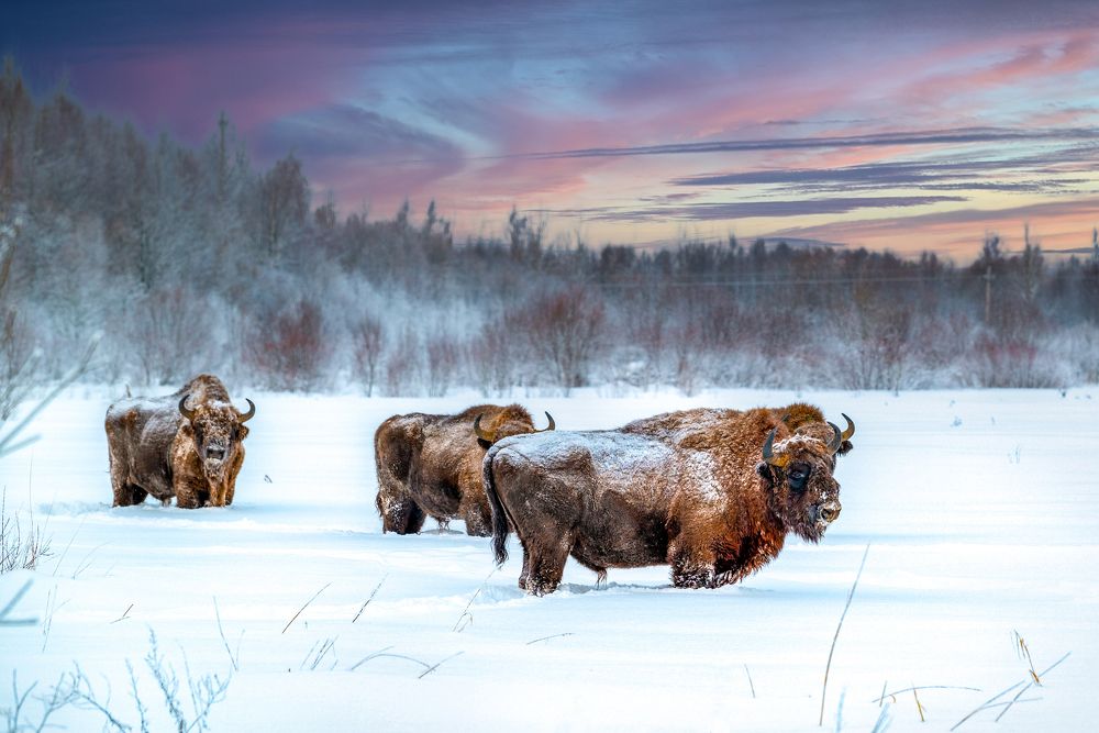 Photograph by Евгений Панов