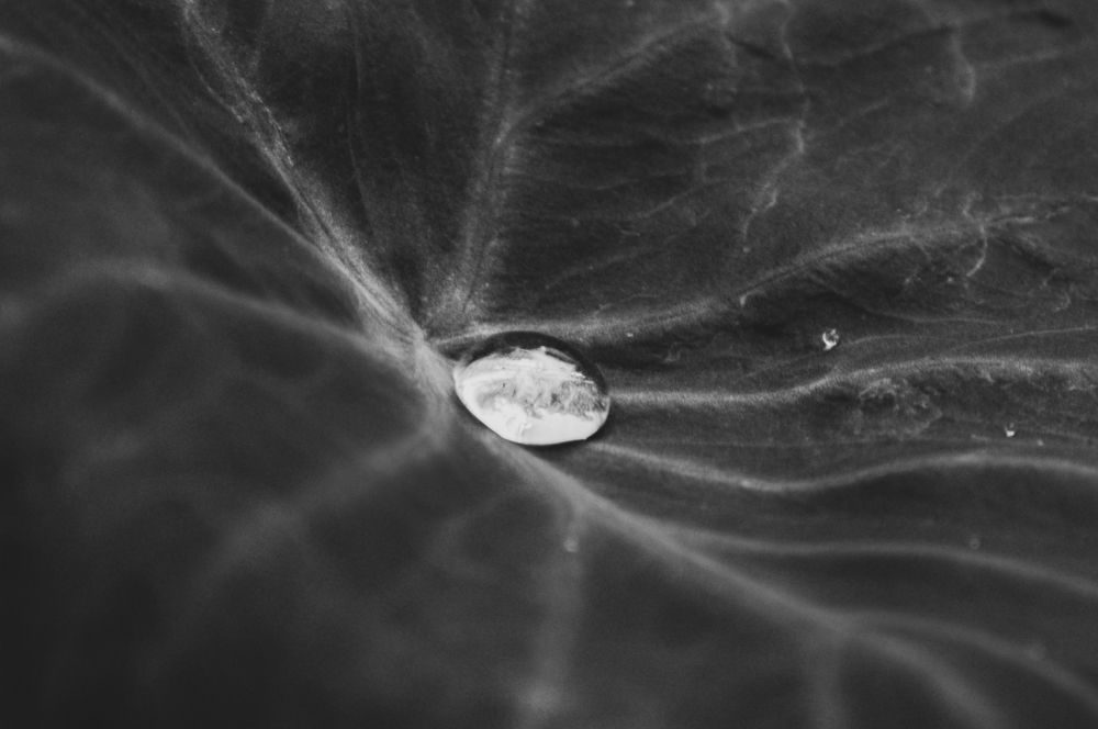 Photograph by Oxana Ukhlina