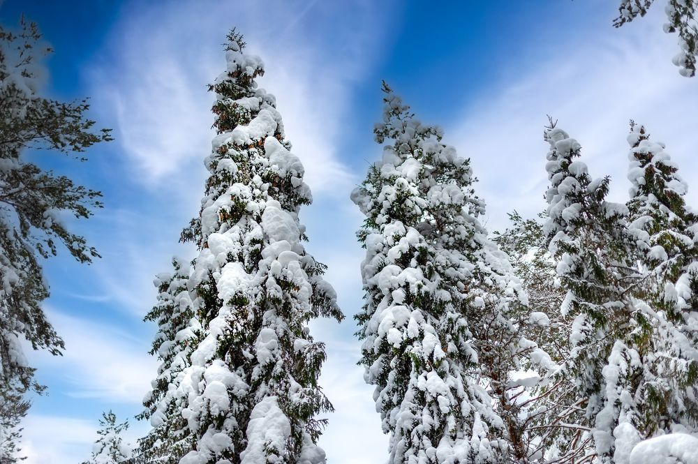 Photograph by Евгений Панов