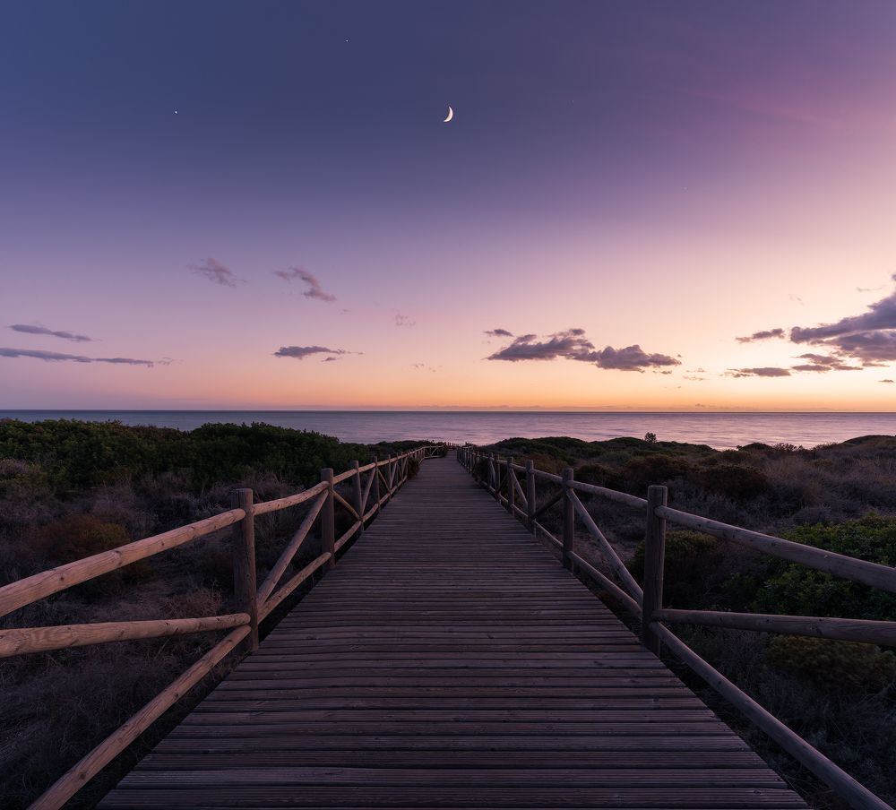 Pathway over dunes