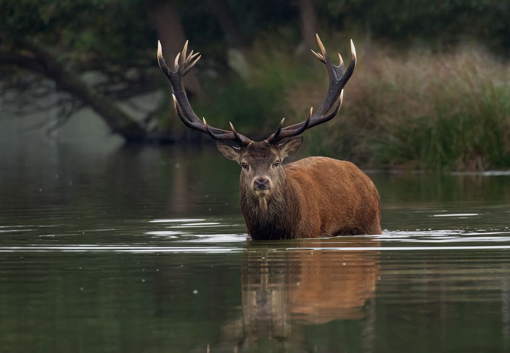 Фотография автора MARIA KULA