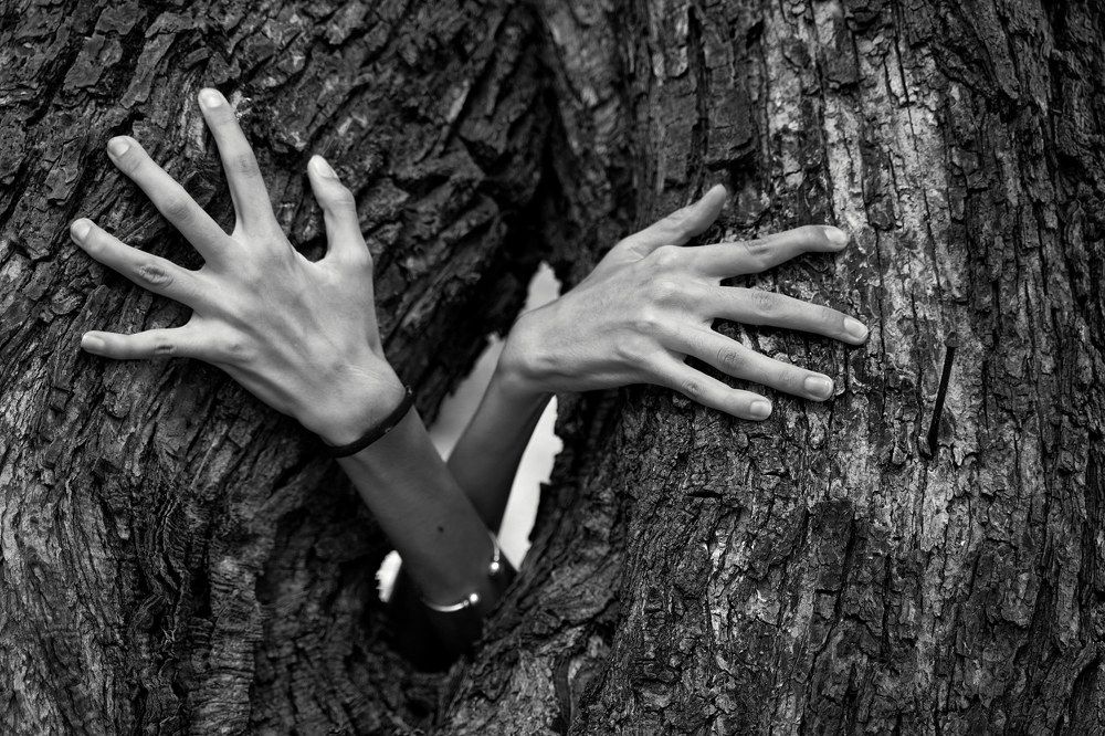 Photograph by Artur Aghabayan