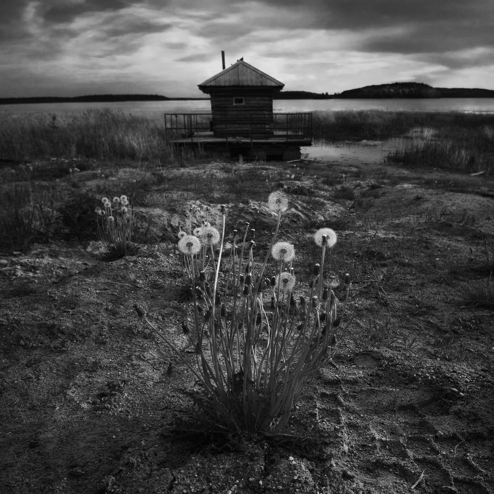 Photograph by Константин шумский