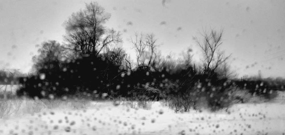 Photograph by Маргарита