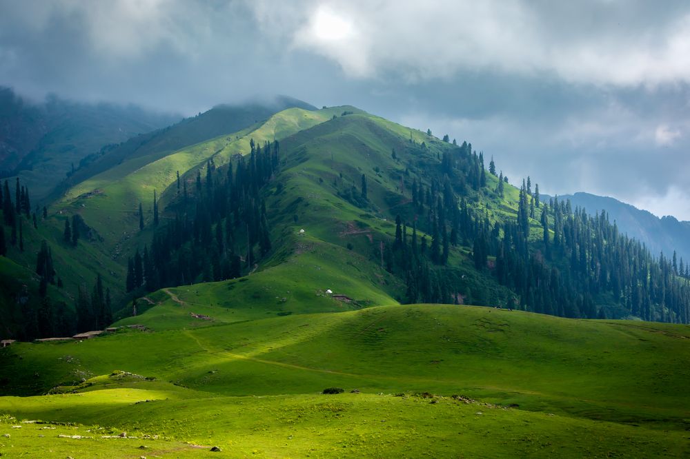 Sri Paye Meadows
