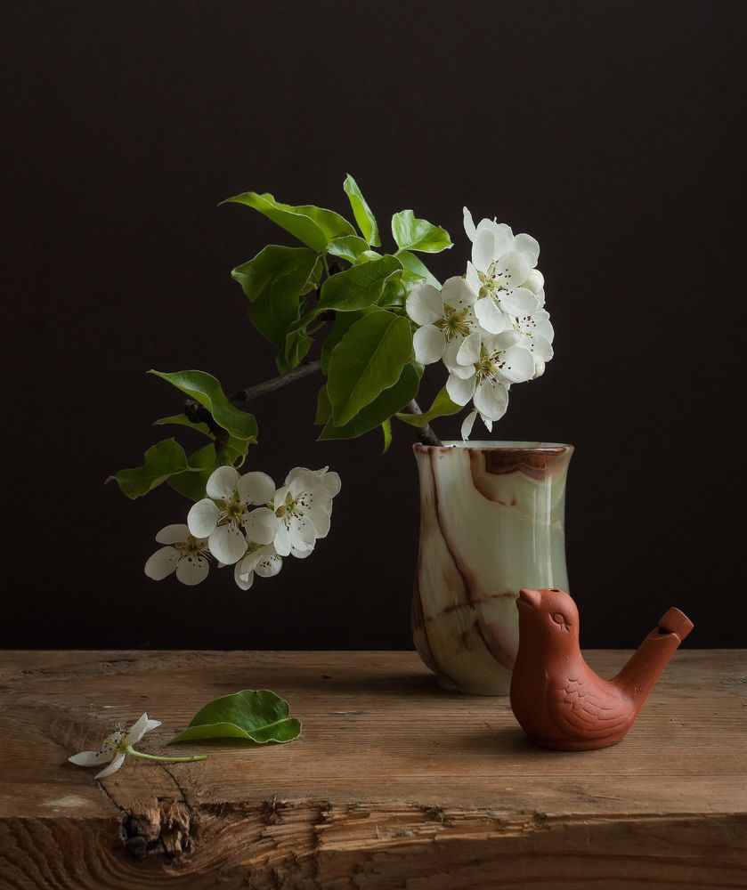 Весенняя песенка.