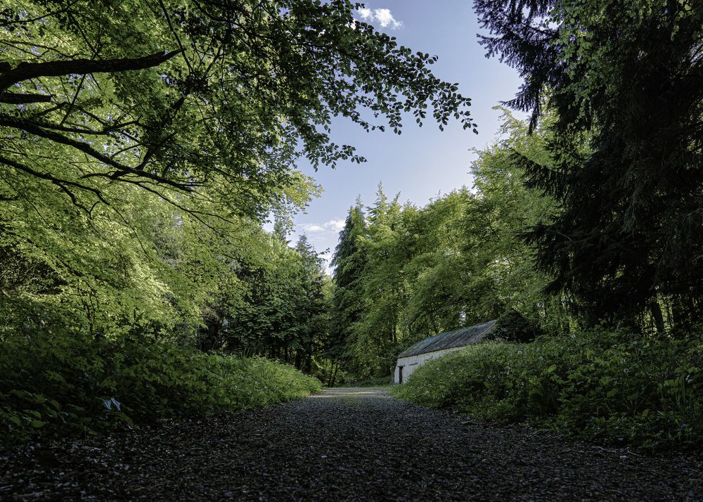 Photograph by Gaj Marek