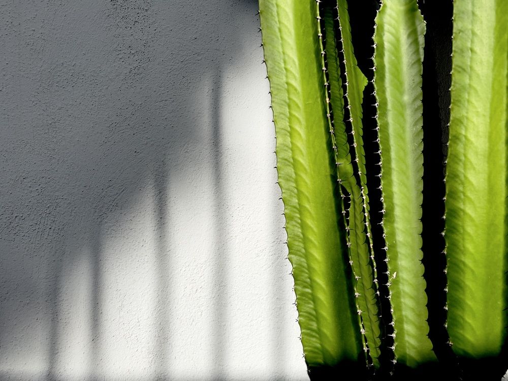 Photograph by Sergiy Khilko