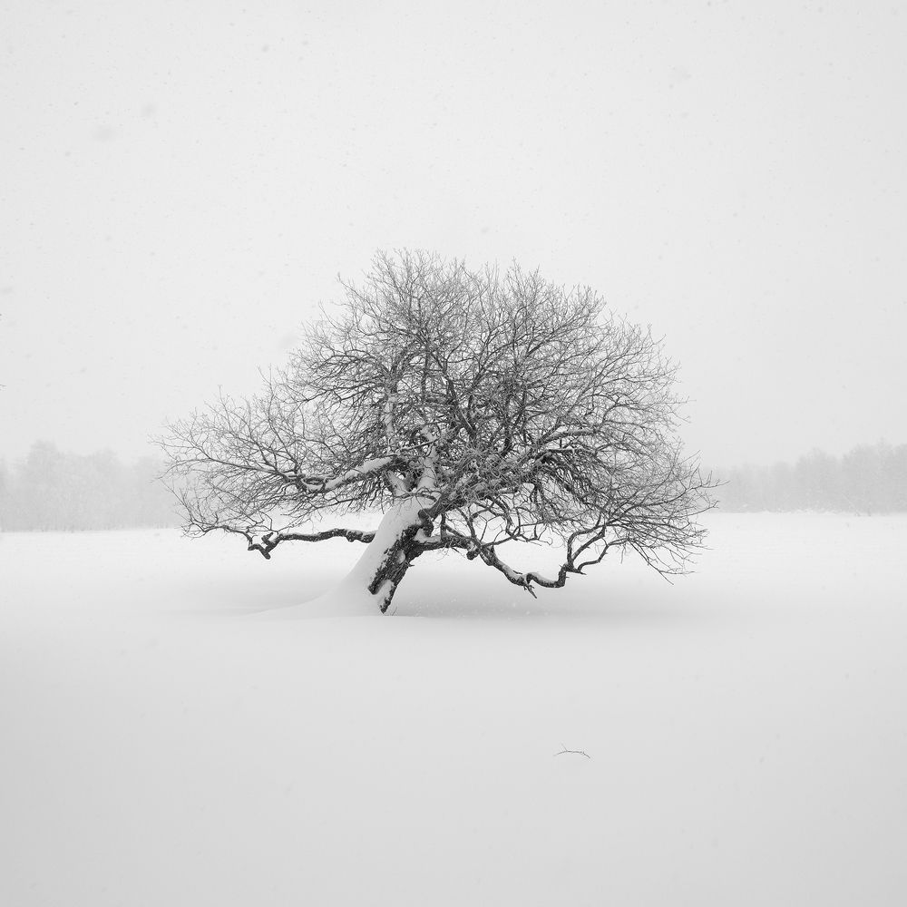 Фотография автора  Евгений