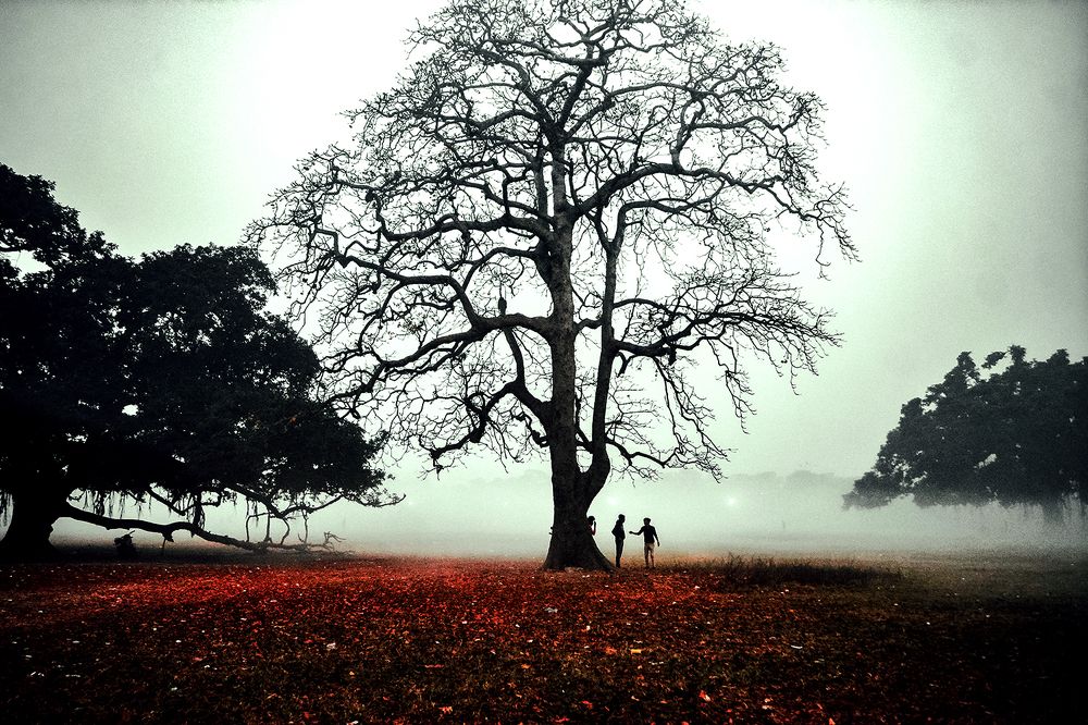 Photograph by Shywal Sen