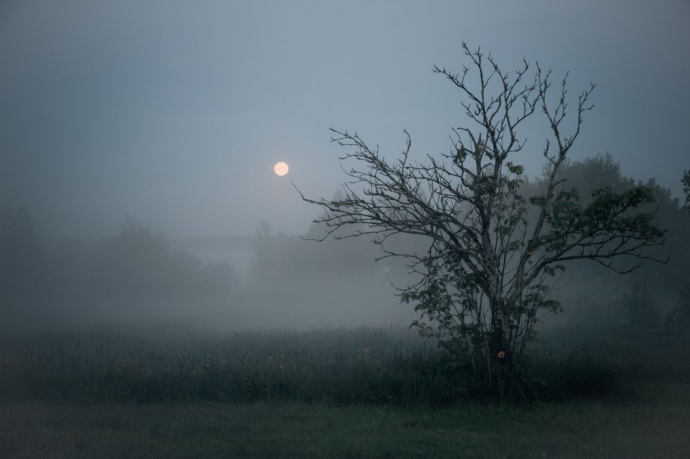 Photograph by Aleksandr L