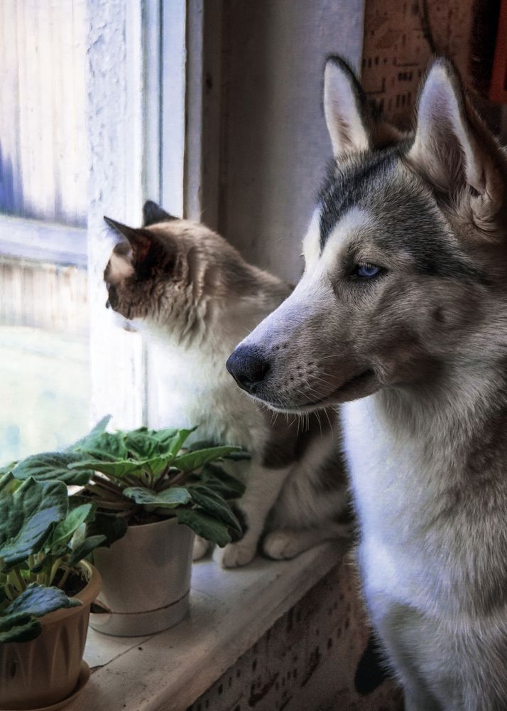 Photograph by Ирина Кленкова