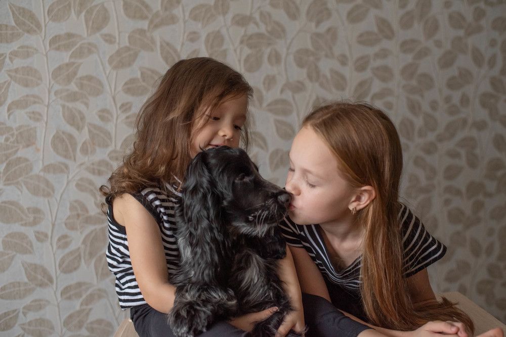 Photograph by Ирина Губина