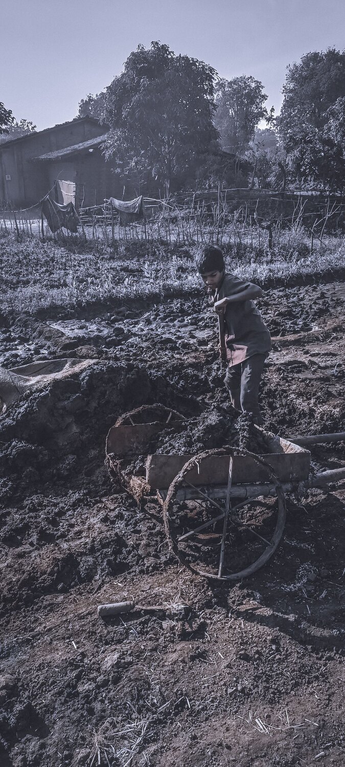 Photo #7239443