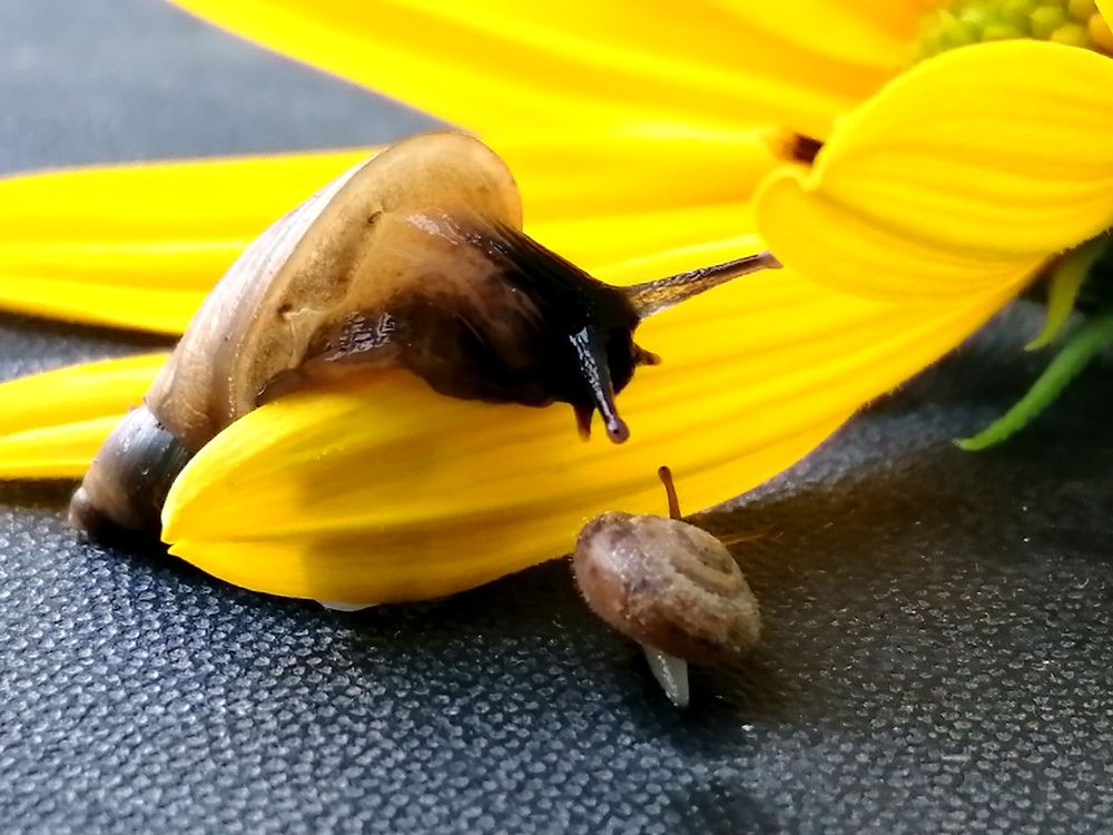 Photograph by Светлана Веселовская