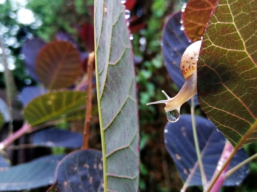 Photograph by Светлана Веселовская