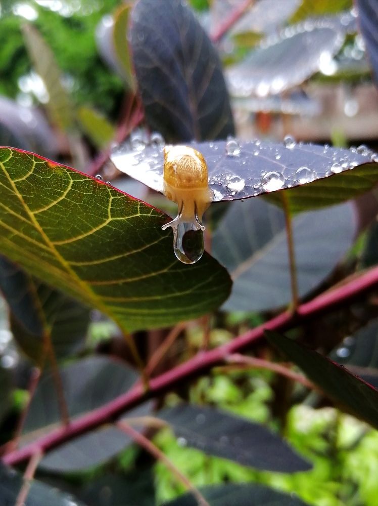 Photograph by Светлана Веселовская