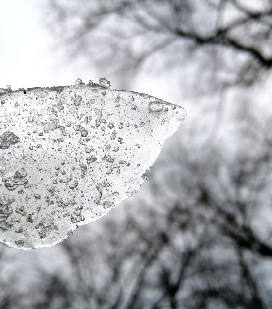 Photograph by Светлана Веселовская