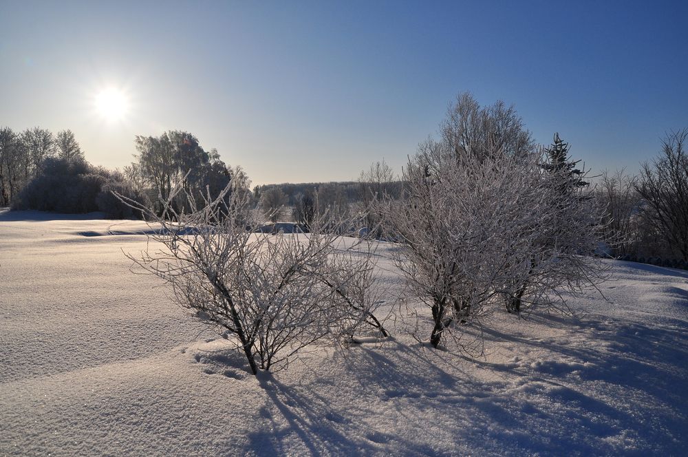 Photograph by Светлана