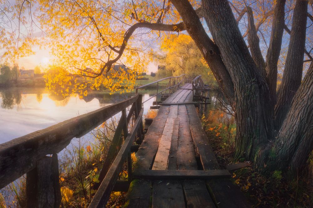 Фотография автора Дмитрий Медянцев