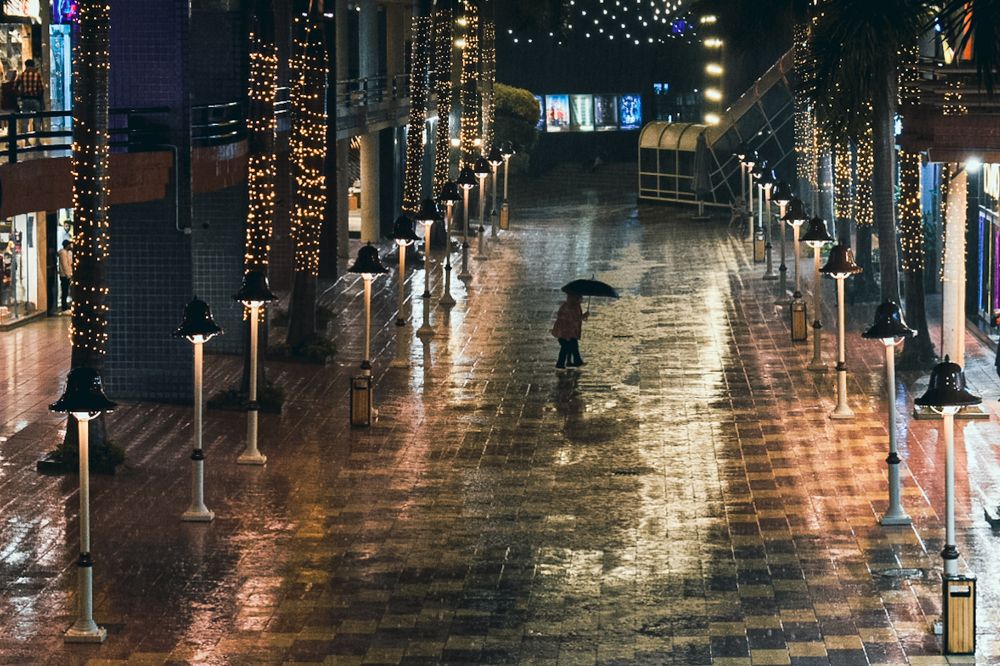 Lonely in the winter