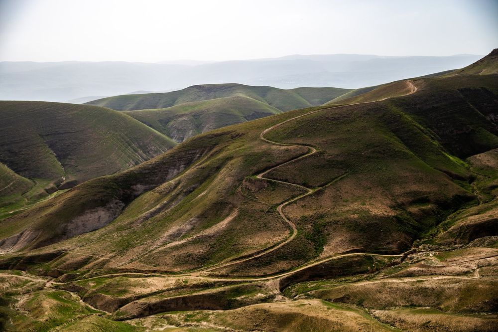 Photograph by marianna chechik