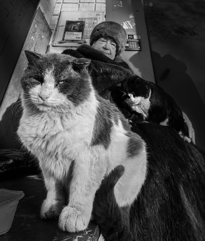 Жили у бабуси