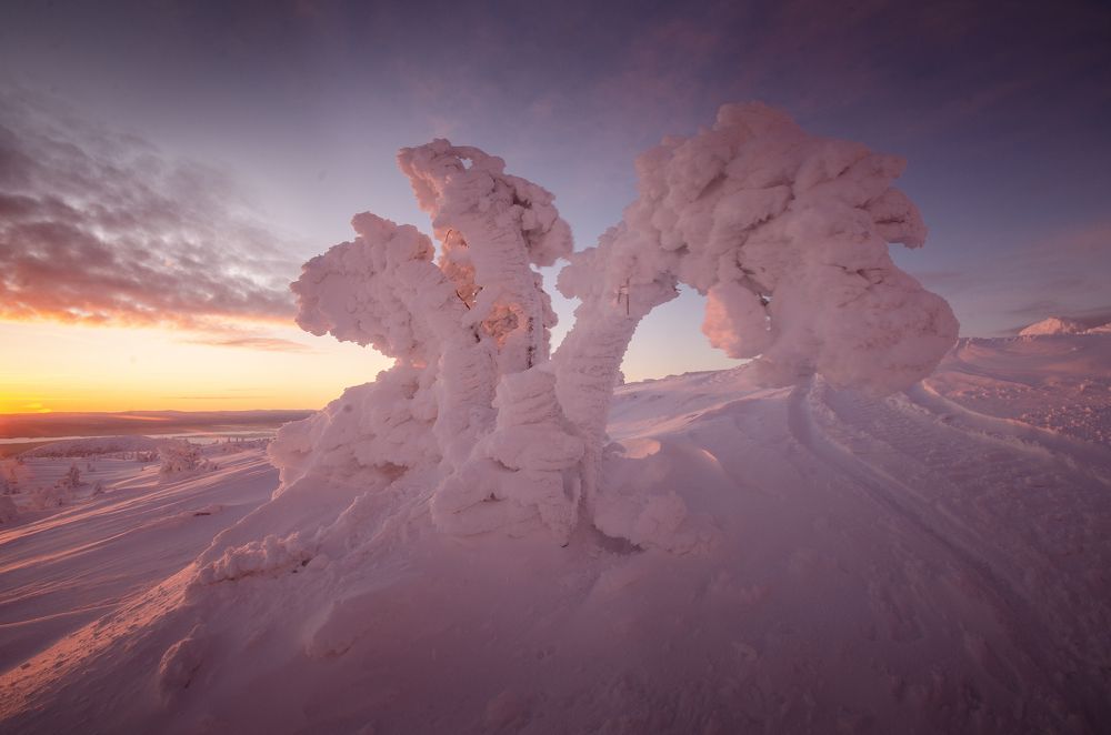 Photograph by Абрамов Денис