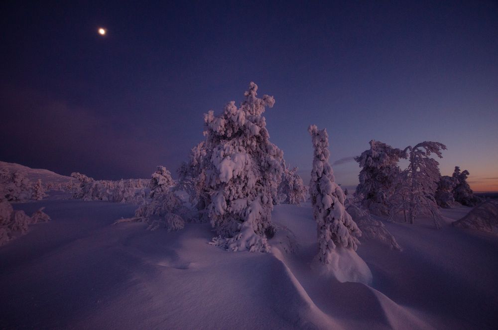 Photograph by Абрамов Денис