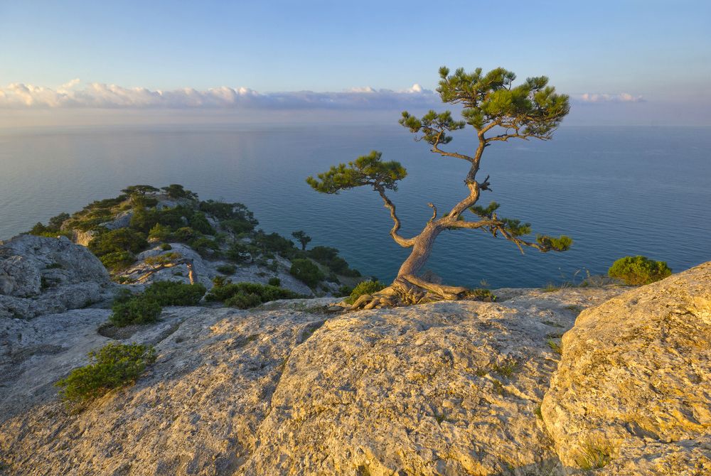 Фотография автора Кухта Мария