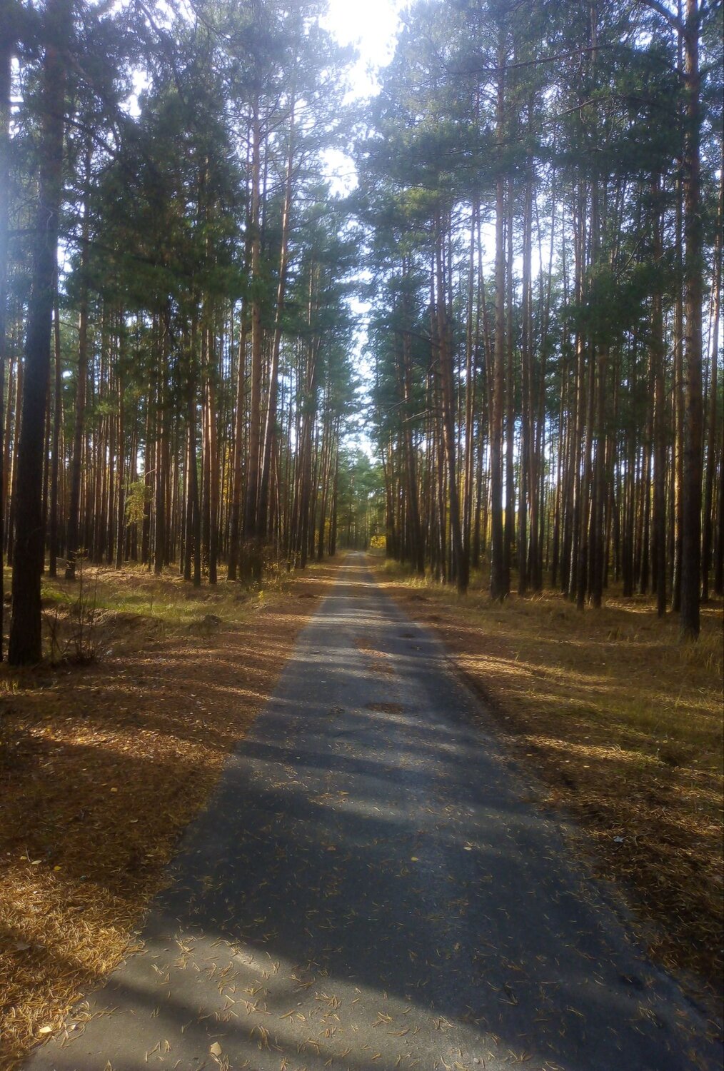 Photo #7239768
