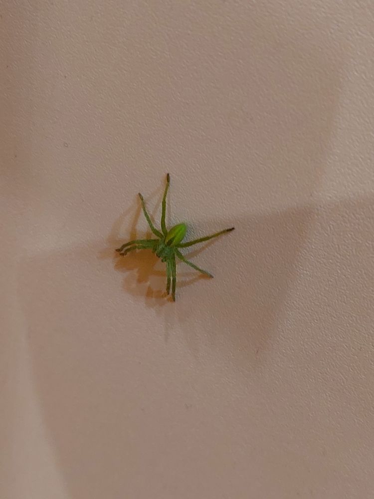 Photograph by Jolanta Zutiene