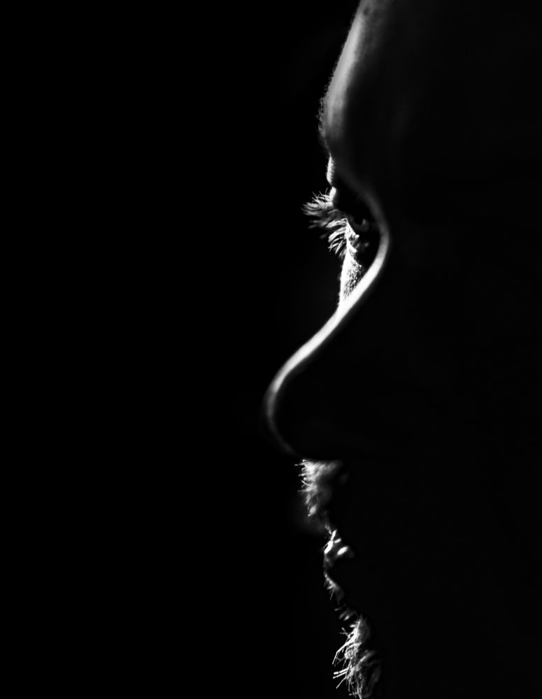 Photograph by Запылаева Анна